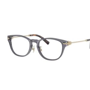 Tiffany & Co Frame TF2237D 8405 48 Crystal Dark Violet Pale Gold Eyeglasses 2237